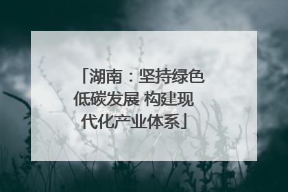 湖南：坚持绿色低碳发展 构建现代化产业体系