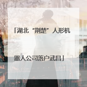 湖北“荆楚”人形机器人公司落户武昌