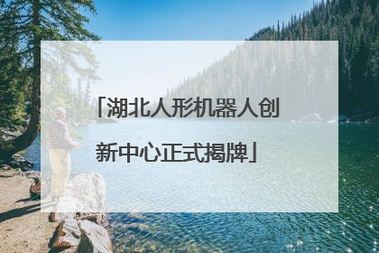 湖北人形机器人创新中心正式揭牌