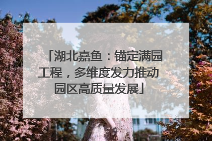 湖北嘉鱼：锚定满园工程，多维度发力推动园区高质量发展