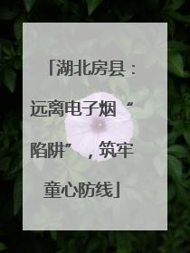湖北房县：远离电子烟“陷阱”，筑牢童心防线