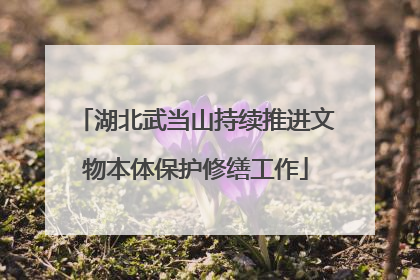 湖北武当山持续推进文物本体保护修缮工作