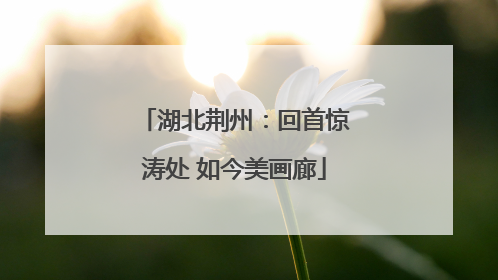 湖北荆州：回首惊涛处 如今美画廊