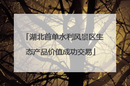 湖北首单水利风景区生态产品价值成功交易