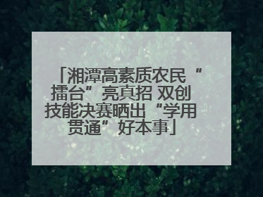 湘潭高素质农民“擂台”亮真招 双创技能决赛晒出“学用贯通”好本事
