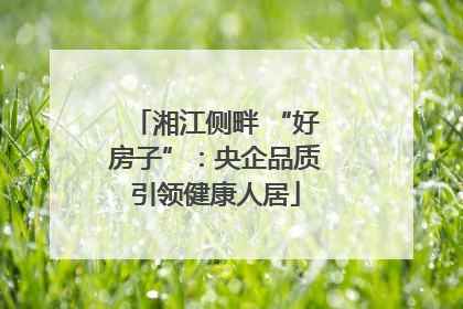 湘江侧畔 “好房子”：央企品质引领健康人居