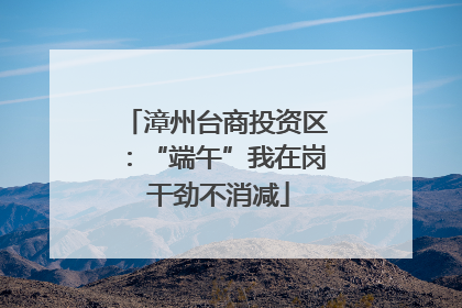 漳州台商投资区：“端午”我在岗 干劲不消减