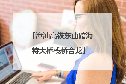 漳汕高铁东山跨海特大桥栈桥合龙