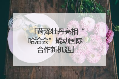 菏泽牡丹亮相“哈洽会”撬动国际合作新机遇