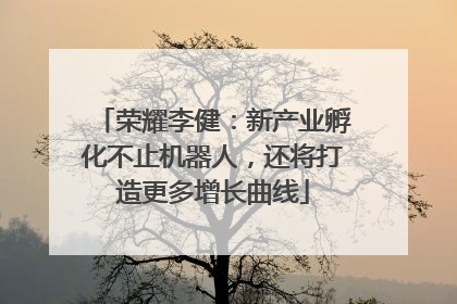 荣耀李健：新产业孵化不止机器人，还将打造更多增长曲线