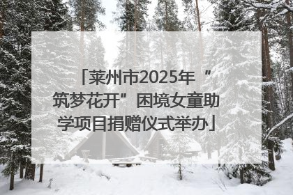 莱州市2025年“筑梦花开”困境女童助学项目捐赠仪式举办