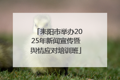 耒阳市举办2025年新闻宣传暨舆情应对培训班