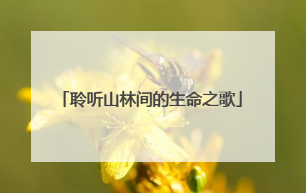 聆听山林间的生命之歌
