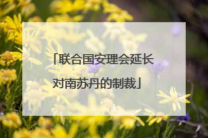 联合国安理会延长对南苏丹的制裁