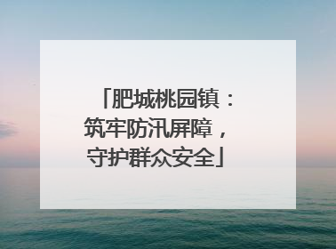 肥城桃园镇：筑牢防汛屏障，守护群众安全
