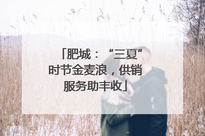 肥城：“三夏”时节金麦浪，供销服务助丰收