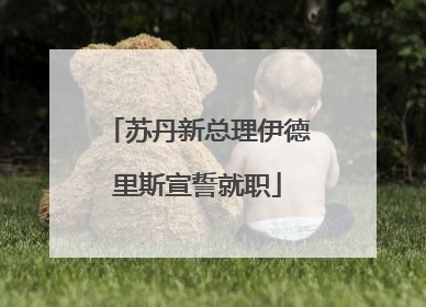 苏丹新总理伊德里斯宣誓就职