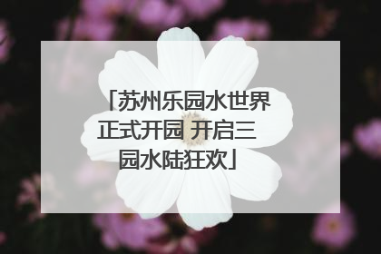 苏州乐园水世界正式开园 开启三园水陆狂欢