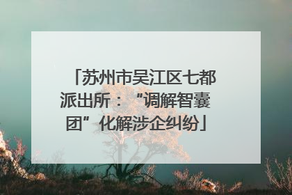 苏州市吴江区七都派出所：“调解智囊团”化解涉企纠纷
