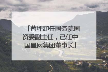 苟坪卸任国务院国资委副主任，已任中国星网集团董事长