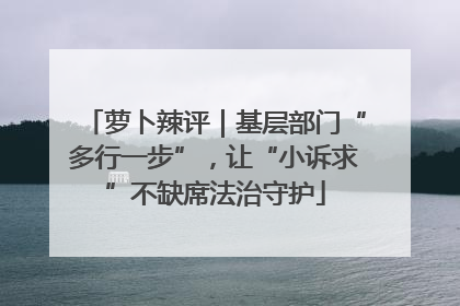萝卜辣评｜基层部门“多行一步”，让“小诉求”不缺席法治守护