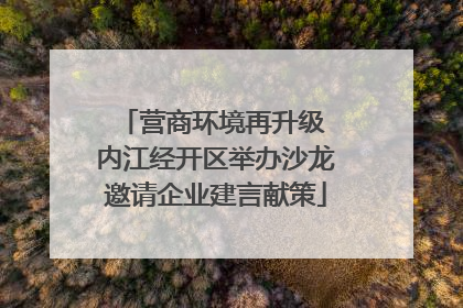 营商环境再升级 内江经开区举办沙龙邀请企业建言献策