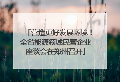 营造更好发展环境！全省能源领域民营企业座谈会在郑州召开