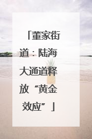 董家街道：陆海大通道释放“黄金效应”