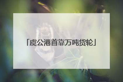 虞公港首靠万吨货轮