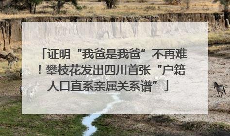 证明“我爸是我爸”不再难！攀枝花发出四川首张“户籍人口直系亲属关系谱”