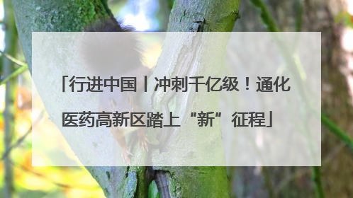 行进中国丨冲刺千亿级！通化医药高新区踏上“新”征程