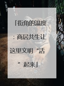 街角的温度：商居共生让这里文明“活”起来