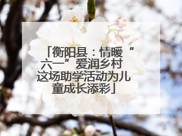 衡阳县：情暖“六一”爱润乡村 这场助学活动为儿童成长添彩