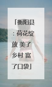 衡阳县：荷花绽放 美了乡村 富了口袋