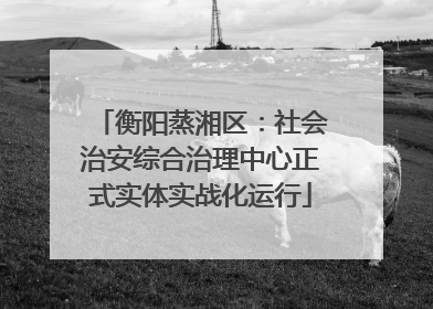 衡阳蒸湘区：社会治安综合治理中心正式实体实战化运行