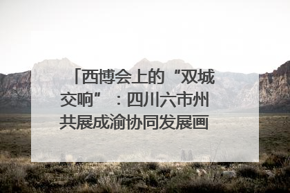 西博会上的“双城交响”：四川六市州共展成渝协同发展画卷｜西博视界