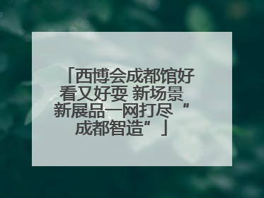 西博会成都馆好看又好耍 新场景新展品一网打尽“成都智造”
