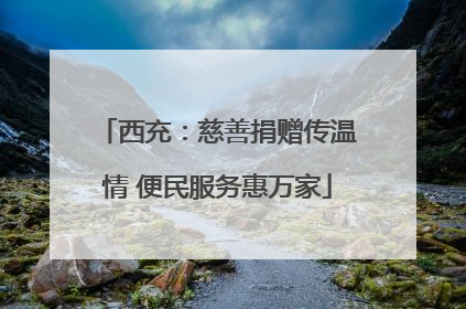 西充：慈善捐赠传温情 便民服务惠万家