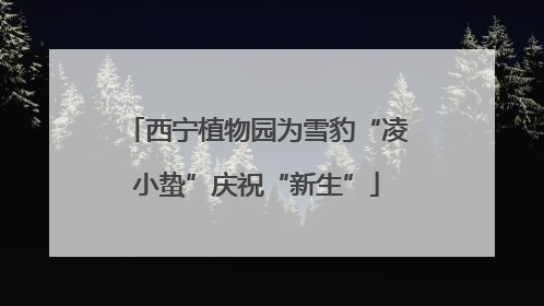 西宁植物园为雪豹“凌小蛰”庆祝“新生”