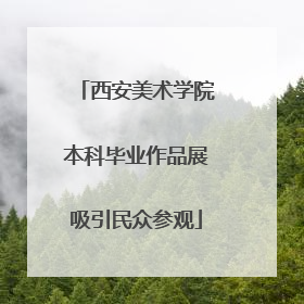 西安美术学院本科毕业作品展吸引民众参观