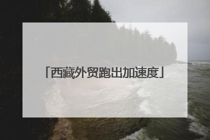 西藏外贸跑出加速度