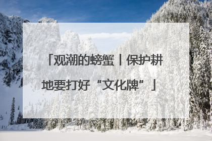 观潮的螃蟹丨保护耕地要打好“文化牌”