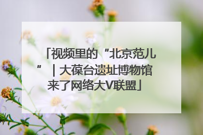 视频里的“北京范儿”｜大葆台遗址博物馆来了网络大V联盟