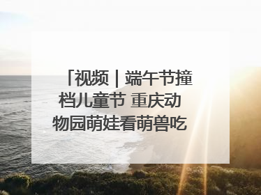 视频｜端午节撞档儿童节 重庆动物园萌娃看萌兽吃特色粽子大餐