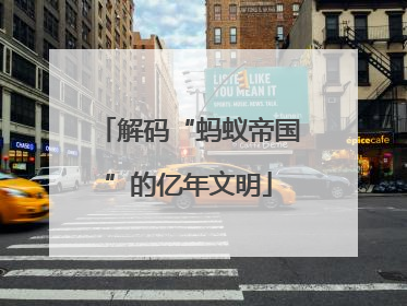 解码“蚂蚁帝国”的亿年文明