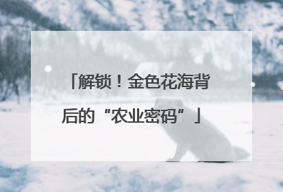 解锁！金色花海背后的“农业密码”