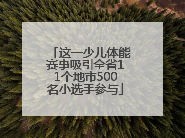 这一少儿体能赛事吸引全省11个地市500名小选手参与
