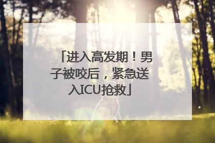 进入高发期！男子被咬后，紧急送入ICU抢救