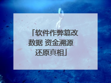 软件作弊篡改数据 资金溯源还原真相