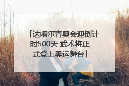 达喀尔青奥会迎倒计时500天 武术将正式登上奥运舞台